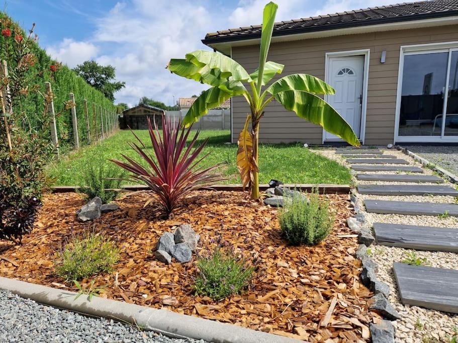 La Des Pins Maison Standing 7 Pers Terre Et * Brach